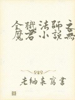 全职法师之黑暗魔君小说无弹窗