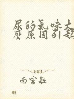 尿的气味大是什么原因引起的