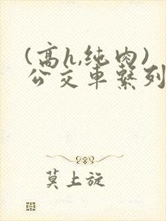 (高h,纯肉)公交车系列