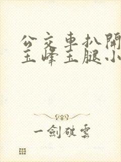 公交车扒开校花玉峰玉腿小说