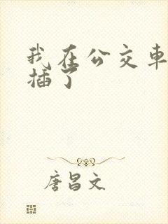 我在公交车上被插了