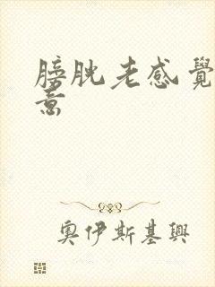 膀胱老感觉有尿意