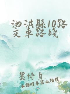 泗洪县10路公交车路线