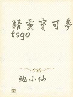 精灵宝可梦letsgo