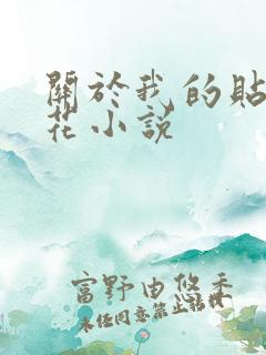 关于我的贴身校花小说