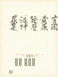 尿液发黄有泡泡是什么原因