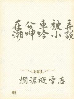 在公车被弄得高潮呻吟小说