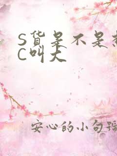 S货是不是想挨C叫大