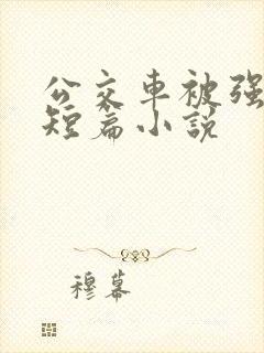 公交车被强系列短篇小说