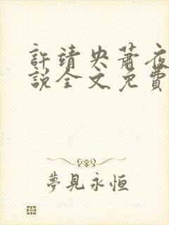 许靖央萧夜寒小说全文免费阅读