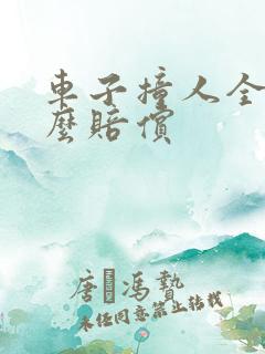 车子撞人全责怎么赔偿