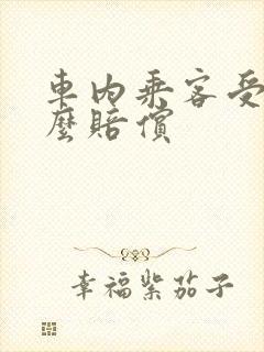 车内乘客受伤怎么赔偿