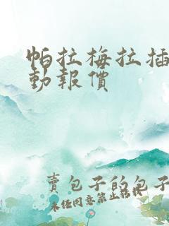 帕拉梅拉插电混动报价