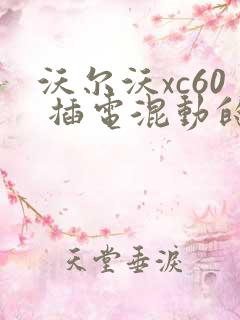 沃尔沃xc60 插电混动的价格