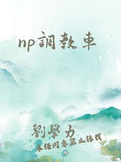 np调教车