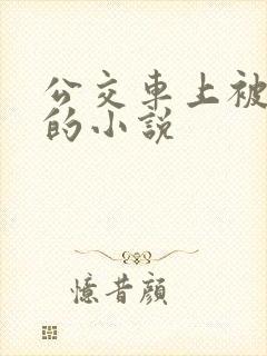 公交车上被人操的小说