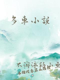 多车小说
