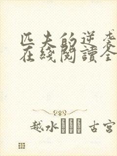 匹夫的逆袭小说在线阅读全文