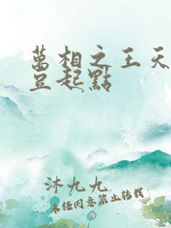 万相之王天蚕土豆起点