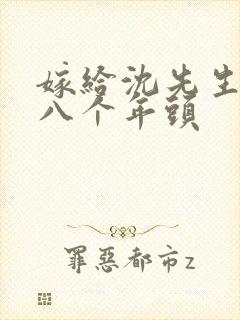 嫁给沈先生的第八个年头
