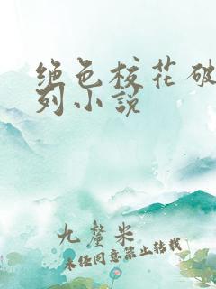 绝色校花破瓜系列小说