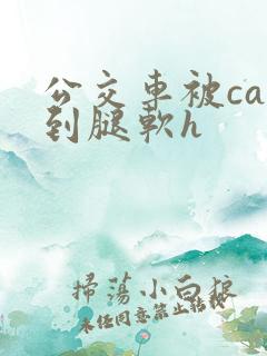 公交车被cao到腿软h