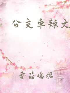 公交车辣文h