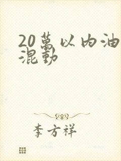20万以内油电混动