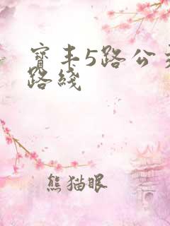 宝丰5路公交车路线