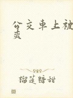 公交车上被插好爽