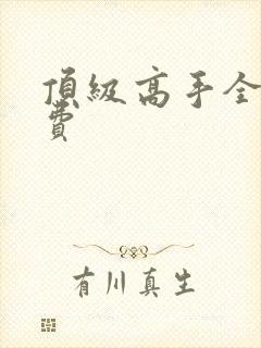 顶级高手全文免费