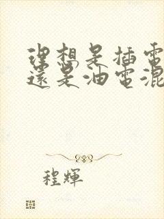 理想是插电混动还是油电混动