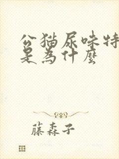 公猫尿味特别大是为什么