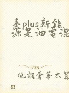 秦plus新能源是油电混合么