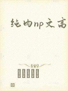 纯肉np文高h