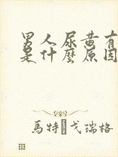 男人尿黄有泡沫是什么原因