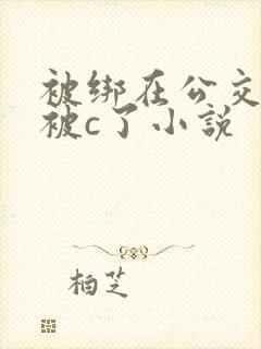 被绑在公交车里被c了小说