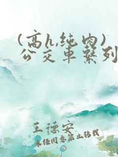 (高h,纯肉)公交车系列