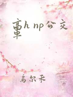 高h np公交车