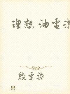 理想 油电混合