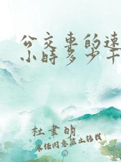 公交车的速度每小时多少千米