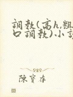 调教(高h,粗口调教)小说