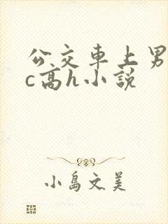 公交车上男男被c高h小说