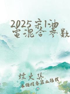 2025宋l油电混合参数