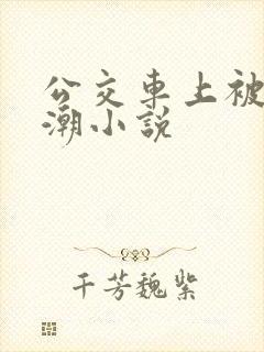 公交车上被插高潮小说