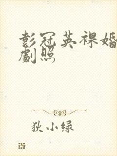 彭冠英裸婚时代剧照