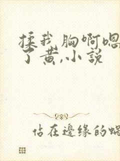 揉我胸啊嗯出奶了黄,小说