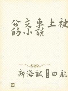 公交车上被玩弄的小说