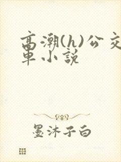高潮(h)公交车小说