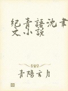 纪青语沈聿风全文小说